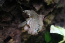 DSC08323.jpg