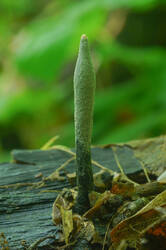 DSC08328.jpg