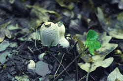 DSC08340.jpg