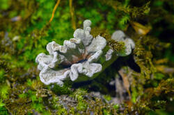 DSC08343.jpg