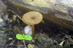DSC08345.jpg
