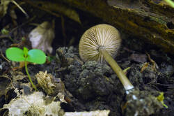DSC08346.jpg