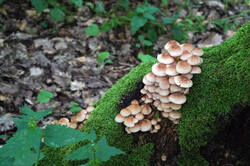 DSC08409.jpg