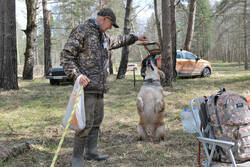 DSC_6558.thumb.jpg.abee7523db6d332d905a28827569bff4.jpg
