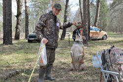DSC_6559.thumb.jpg.a35f5644b4a7c22409460132483b7e3b.jpg