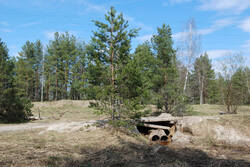 DSC_6774.thumb.jpg.2808e5b85cb03b558bc4dd29df4b8eb7.jpg