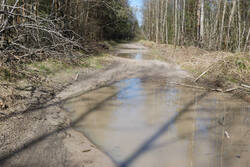 DSC_6775.thumb.jpg.bcc9b8b4b61ed24aa2d414de71e1d0fb.jpg