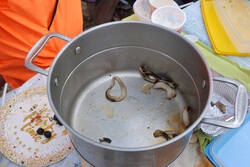 DSC_6817.thumb.jpg.22ba7f34ec7718cbc40c8db0a3b27b58.jpg