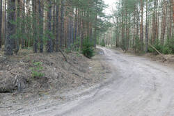 DSC_6829.thumb.jpg.5983ec7e8ce3ccc536a798f1a465691f.jpg