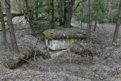 DSC_6832.thumb.jpg.beed200ec55ee1fc1cad40f3fc7fbb41.jpg