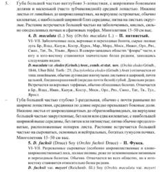 Dact.thumb.jpg.39bf678c61f05c7e40003000342a0784.jpg