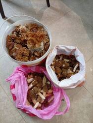 IMG-20260510-WA0004.thumb.jpg.0ebcf5a6adb282f70fbaa7c5d99a0c65.jpg