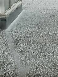 IMG20260526095613.thumb.jpg.91f7b79279f78346f1cca26c7d4b0971.jpg