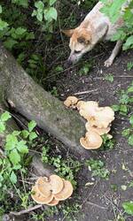 IMG_0380.jpeg