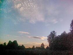 IMG_20160713_195237.jpg
