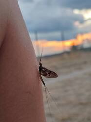 IMG_20230628_214953.jpg