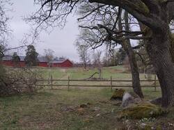 IMG_20250421_145110.thumb.jpg.6e39e4a377c92d0925cb247498358d3b.jpg