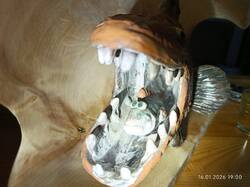 IMG_20260116_190048.jpg