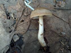 IMG_20260412_140406_gcam_3.2.thumb.jpg.1a6865430fcce7b15195e88bd97b6412.jpg