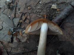 IMG_20260412_140520_gcam_3.2.thumb.jpg.750f39b9190745508963c84be1e77dce.jpg