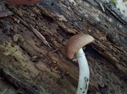 IMG_20260412_140818_gcam_3.2.thumb.jpg.409035e26dd36fc193b1ae7a4bce819d.jpg