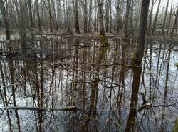 IMG_20260412_141647_gcam_3.2.thumb.jpg.7fa391708987e51700de63b6a341b809.jpg