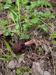 IMG_20260501_134136.jpg