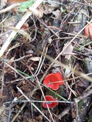 IMG_20260501_154252.jpg