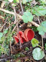 IMG_20260501_154502.jpg