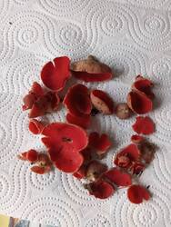 IMG_20260501_184124.jpg
