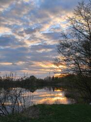 IMG_20260501_194011.jpg