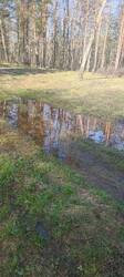 IMG_20260502_080500.thumb.jpg.2cf23d2757e590ab2fdca720d6ea579a.jpg