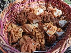 IMG_20260502_110030.thumb.jpg.7cad7c6a9e8a91e57be8c03e05e0d447.jpg
