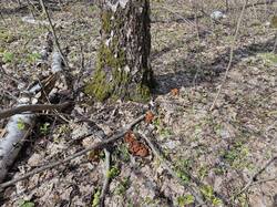 IMG_20260502_113506.jpg