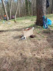 IMG_20260502_160229_332.jpg