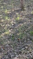 IMG_20260502_172158.jpg