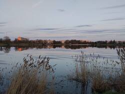 IMG_20260502_195436.jpg