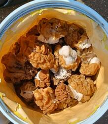 IMG_20260503_125033.jpg