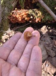 IMG_20260503_144533.jpg