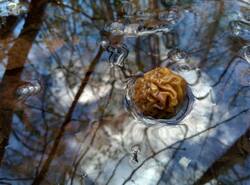IMG_20260503_144858_gcam_3.2.thumb.jpg.baae30972bd941e8e6c9e86d66ca24b3.jpg