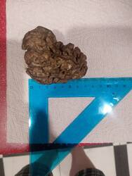 IMG_20260503_204811_611.thumb.jpg.6aca74f6b58a4b7ff44440f7d64c4f5c.jpg