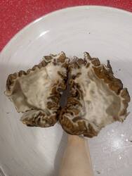 IMG_20260504_023529_592.thumb.jpg.c6e93ee77cc840e15fc754e5ef2d4a18.jpg