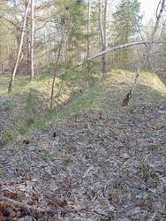 IMG_20260504_074620.jpg