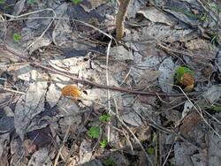 IMG_20260504_082607.jpg