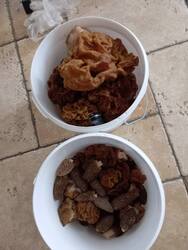 IMG_20260504_153422.jpg