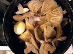 IMG_20260504_220536.png