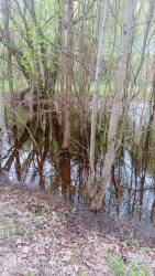 IMG_20260509_113401_767.jpg