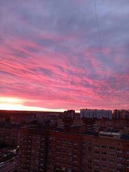 IMG_20260510_041729.jpg