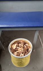 IMG_20260510_102918.thumb.jpg.430664699ea85c35b98ee9b52354a82d.jpg