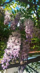 IMG_20260510_161004.jpg